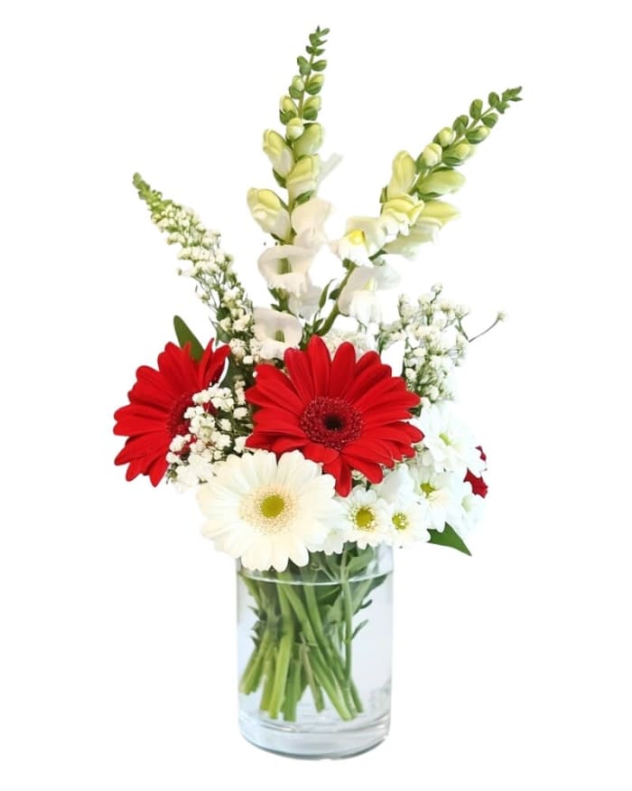 Red & White Wonder