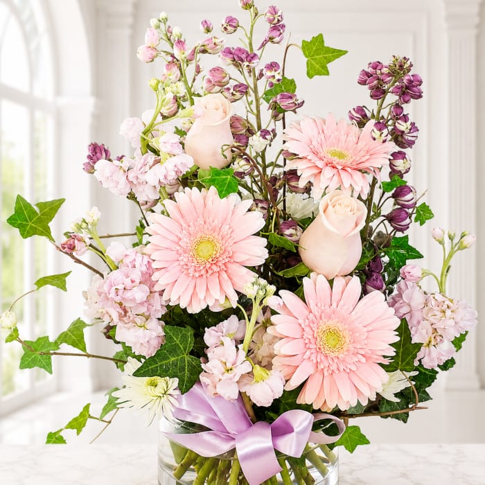 Ivy Pinks