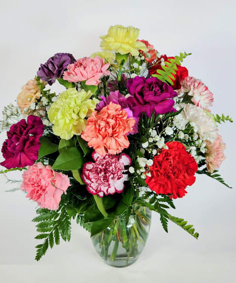 Classic Dozen Mixed Colored Carnations