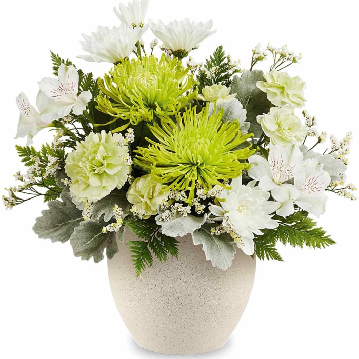 Peaceful Petals