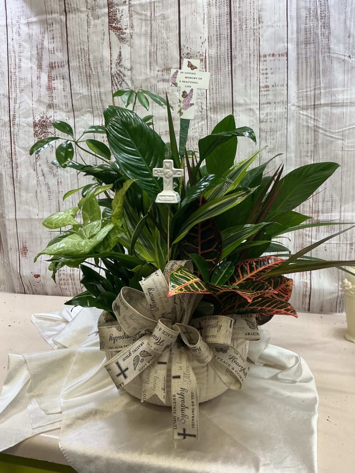 Growing Sympathy Garden