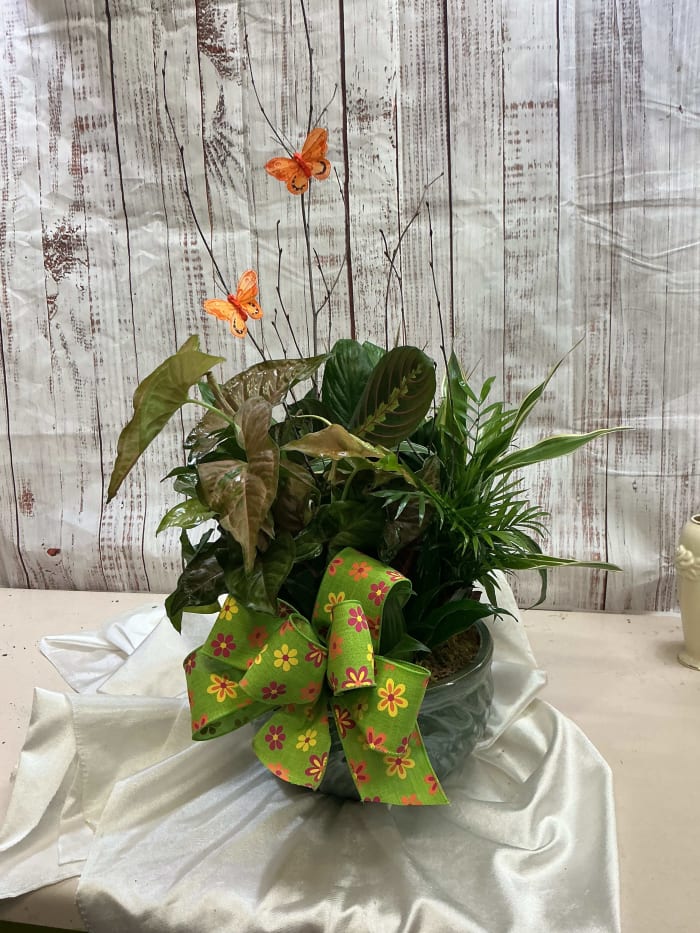 Ceramic Garden 10 inch