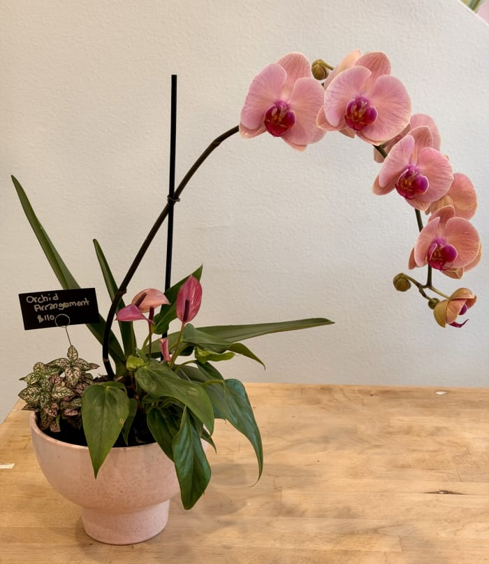 Pink Orchid Arrangement 1