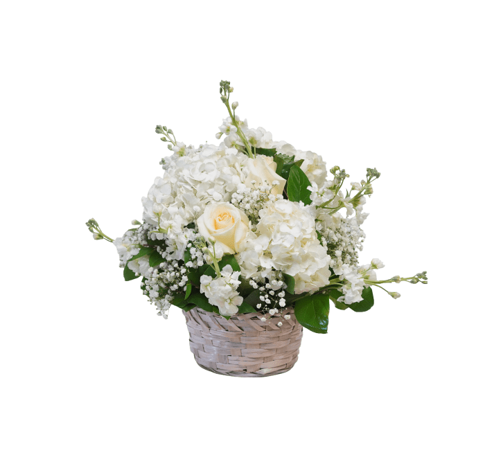 AF-6 Arreglo de rosas, hortensias, stocks y montecasino