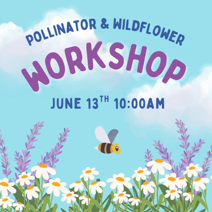 Pollinator Workshop