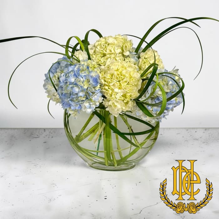 Hydrangea Harmony