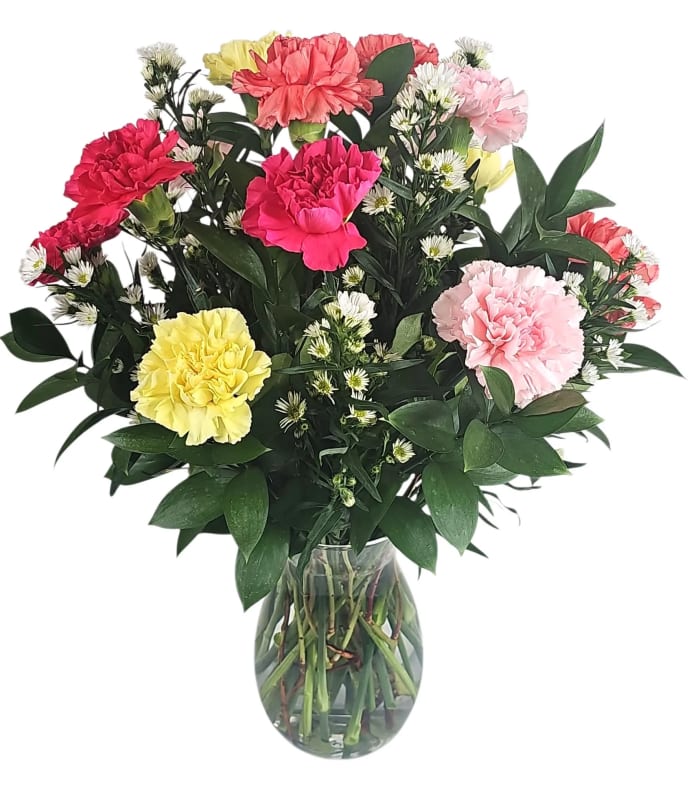 Carnations (Colors Vary)