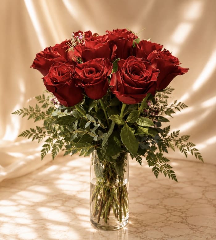 12 Premium long stem Red Roses in a vase