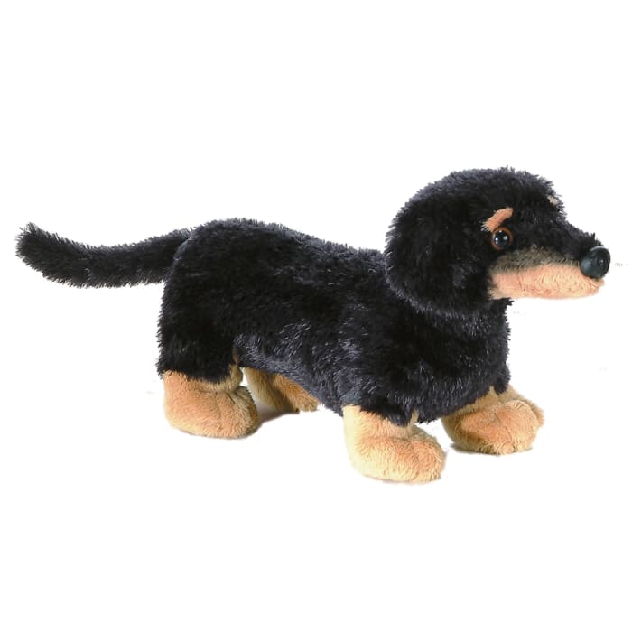 Vienna Dachshund