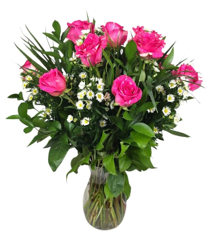 DZ Pink Radiance Roses
