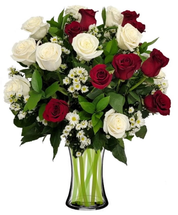 2 Dz Fire and Ice Roses