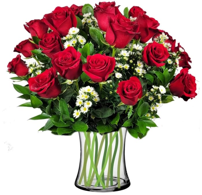 2 Dz red premium roses