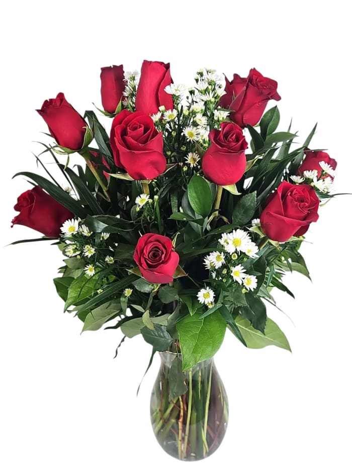 Dz red premium roses