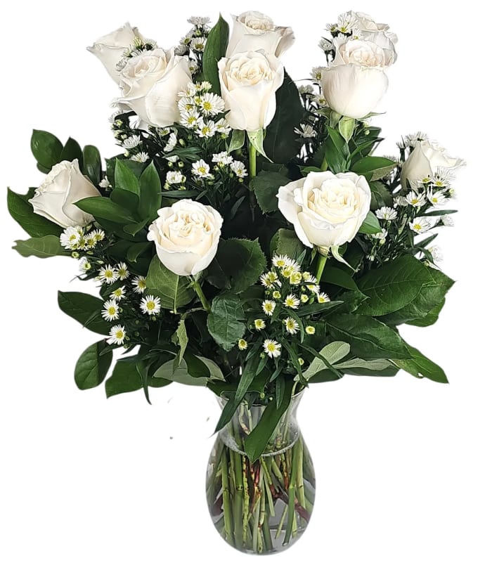 Dz white premium Roses