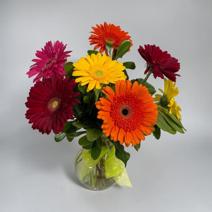 Gerbera Daisy Arrangement