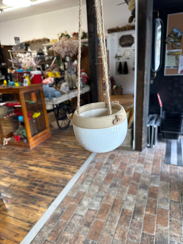 Hanging planter