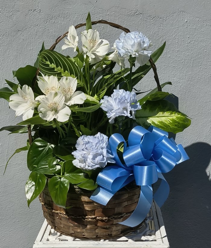 Blue and White Dish Garden Basket