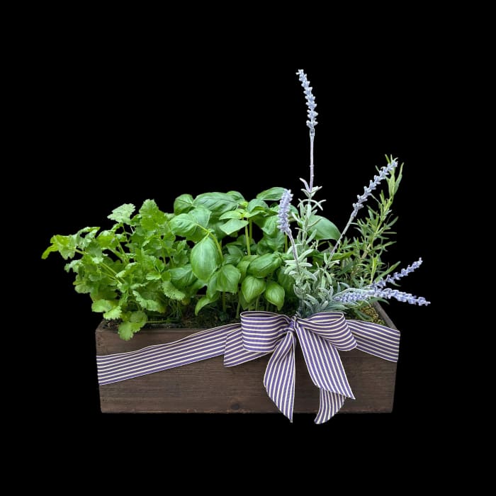 Summer Herb Garden