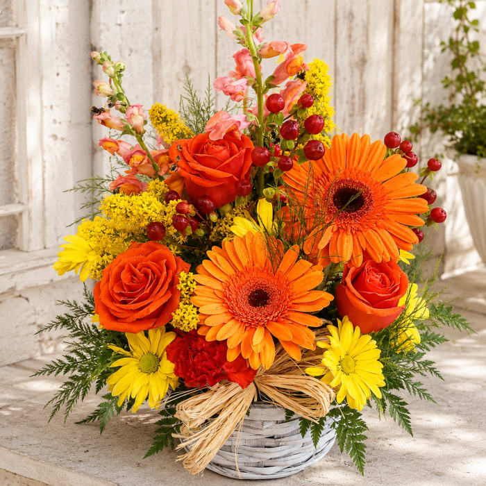 Sunshine Surprise