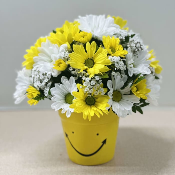 Daisy Smiles