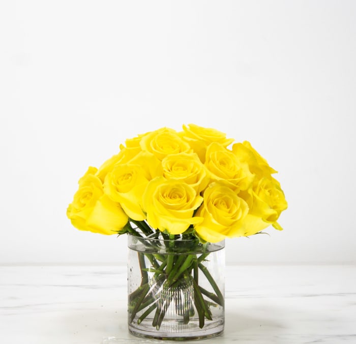 Simply Roses