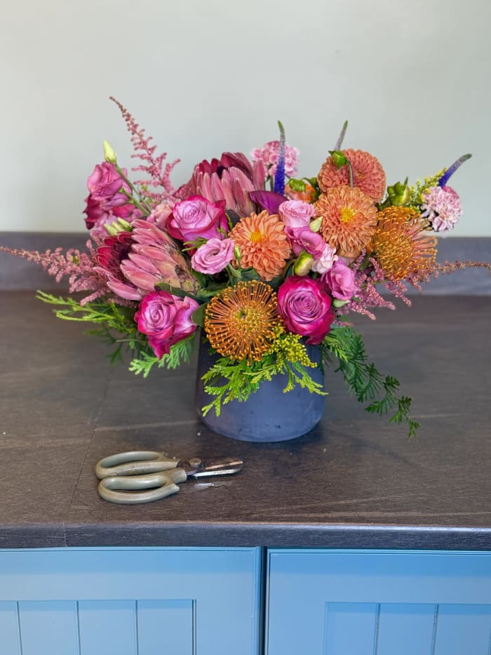 Protea