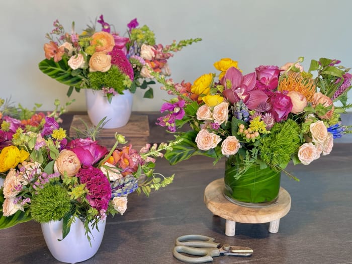 Designer's Choice Seasonal