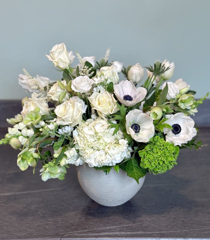Anemone