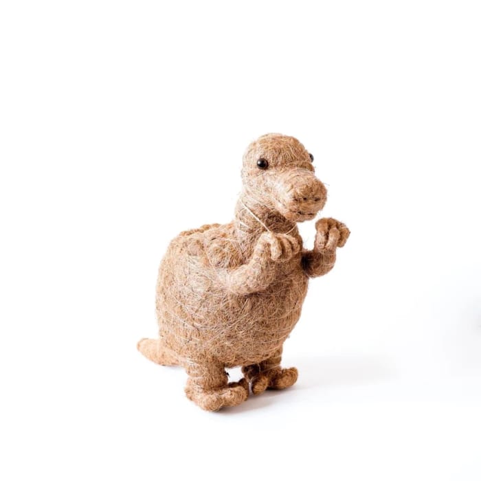 T Rex Planter