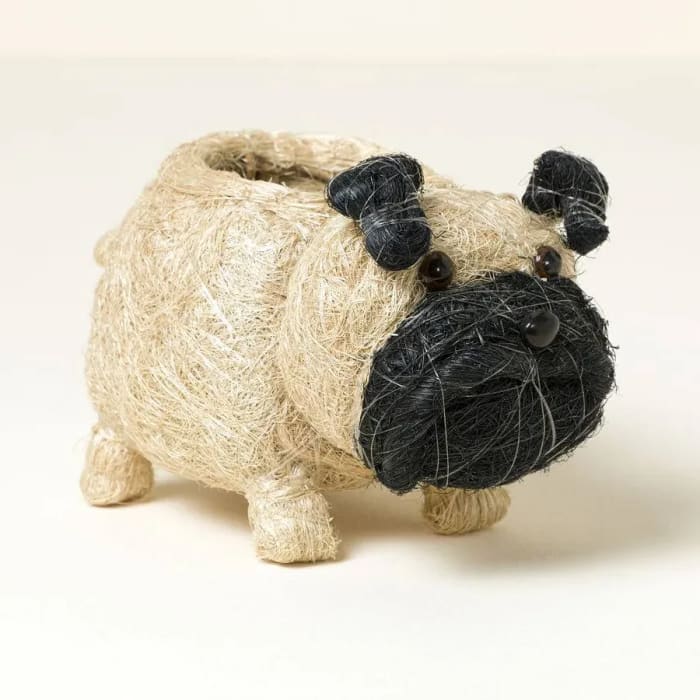 Coco Pug Planter