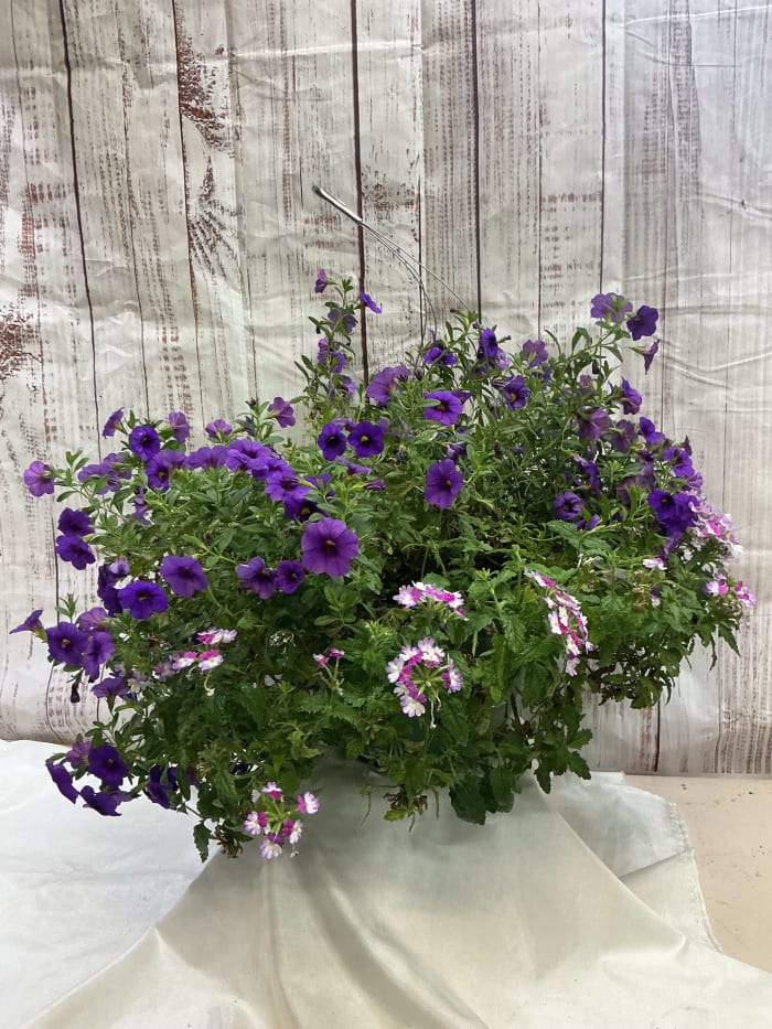 Petunia Basket