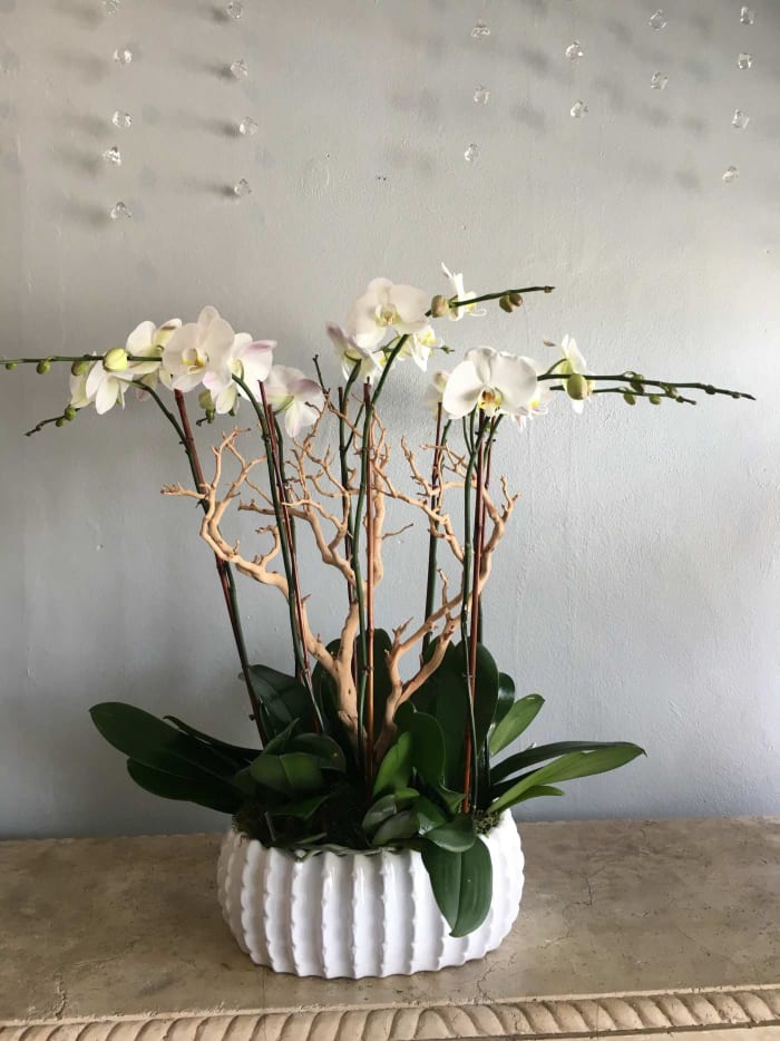 Orchid Centerpiece