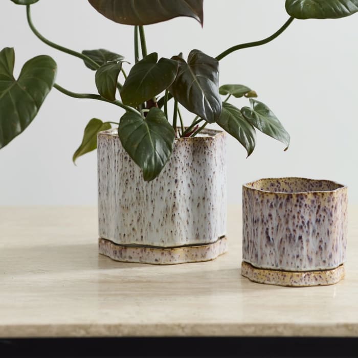 Avenell Pots