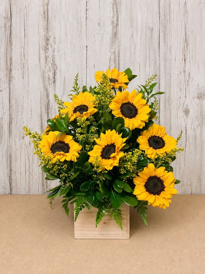 Sunflower Bliss