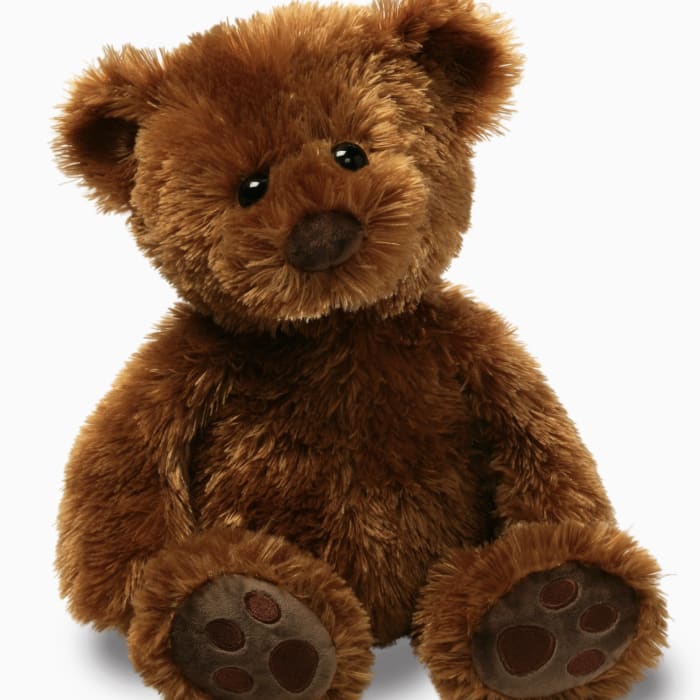 Cuddly Brown Bear