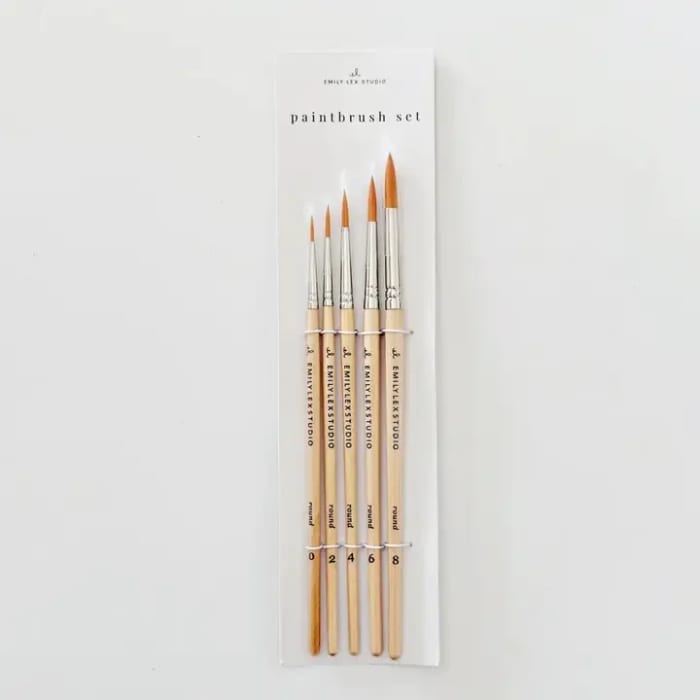 Paint Brush Set