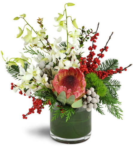 Berry Merry Christmas!™