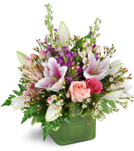 May Flowers