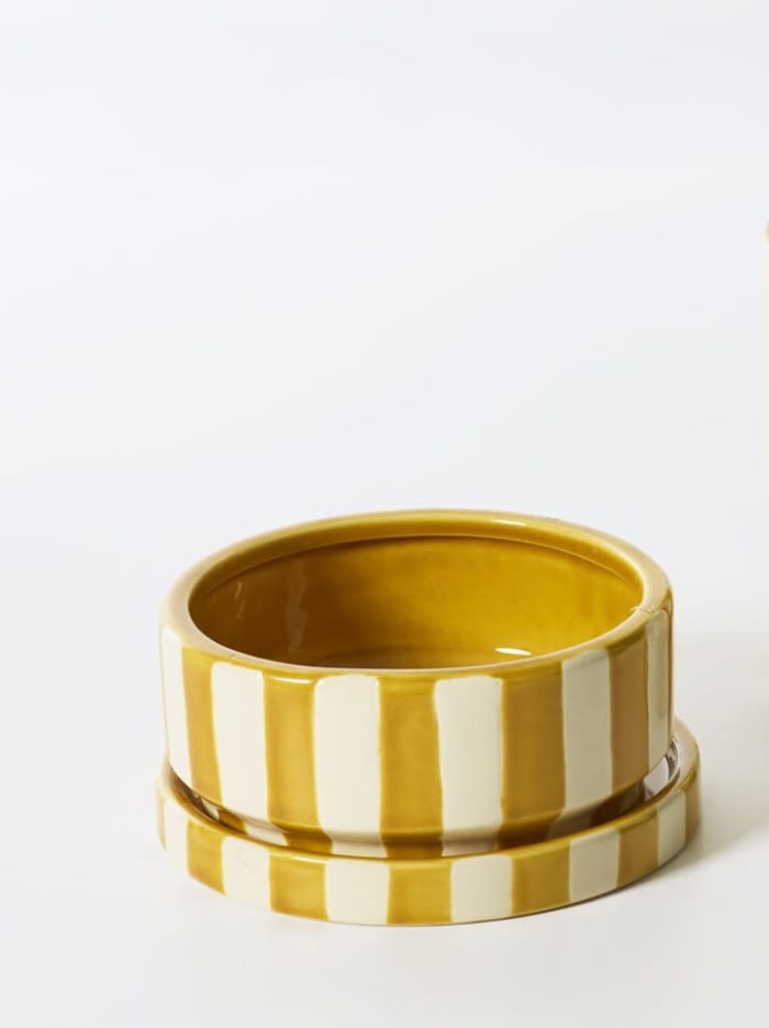 Yellow Saffron Pot