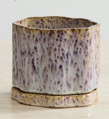 Avenell Pots