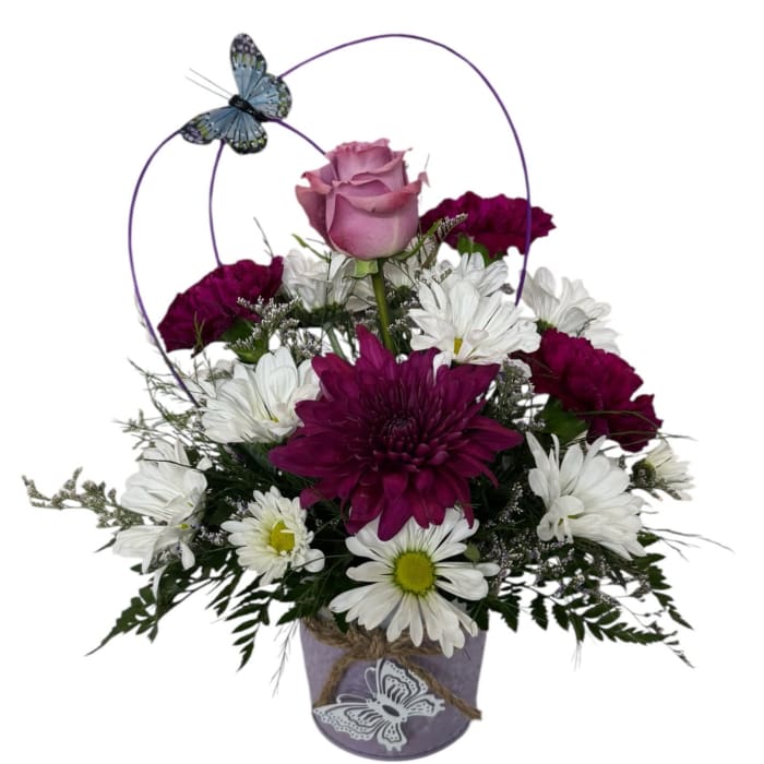 Butterflies & Blooms