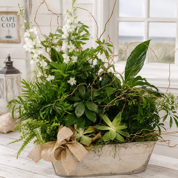 Foliage & Succulent Planter