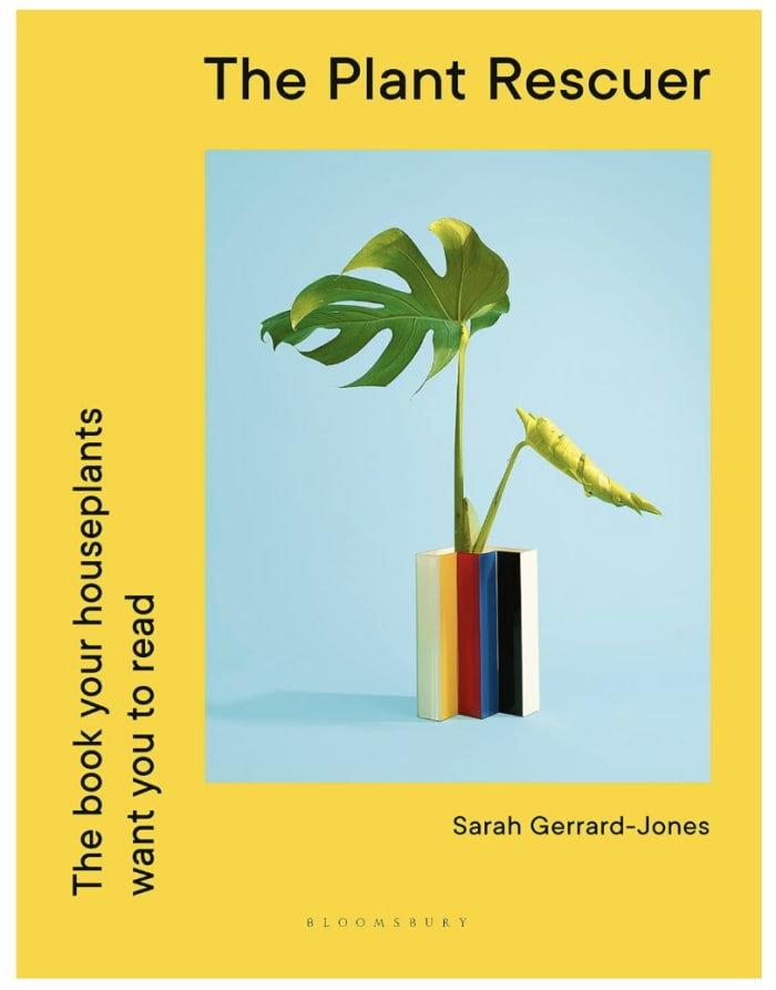 The Plant Rescuer: The book your houseplants want you to read