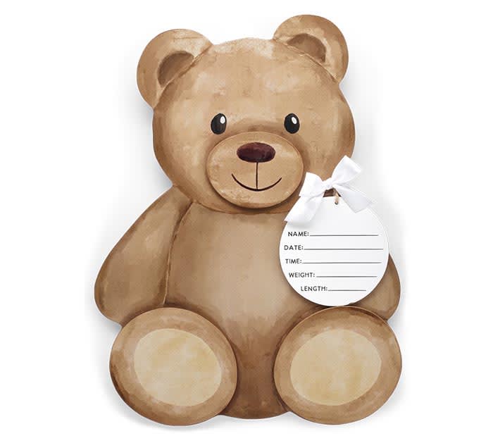 Wall Hanging Bear Birth Announcement