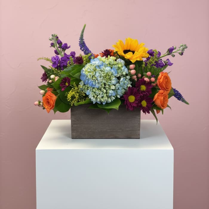 Window Box