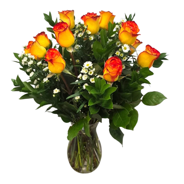 Dz. High and Magic Premium Roses