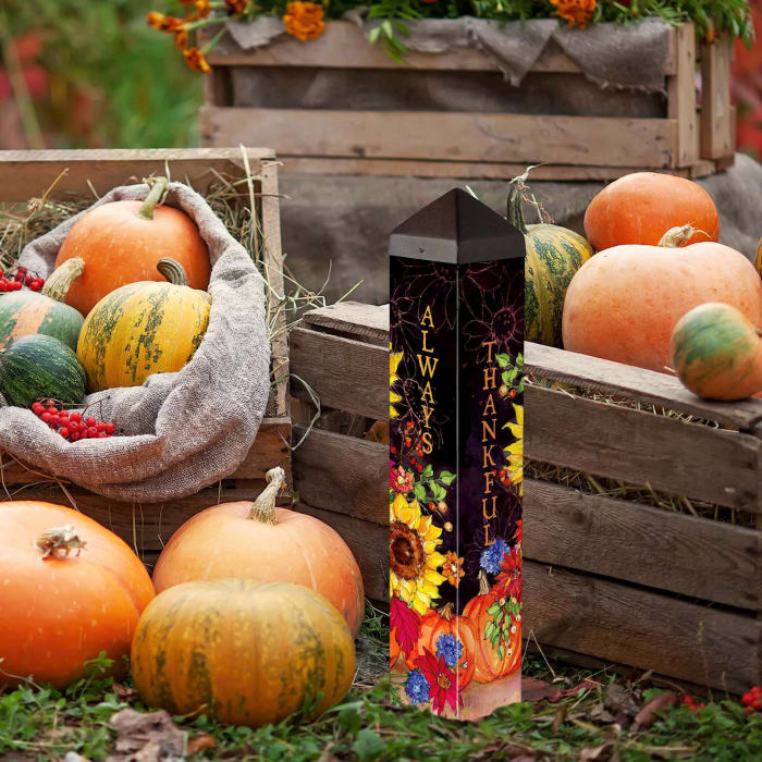 Pumpkin Bouquet 20" Art Pole