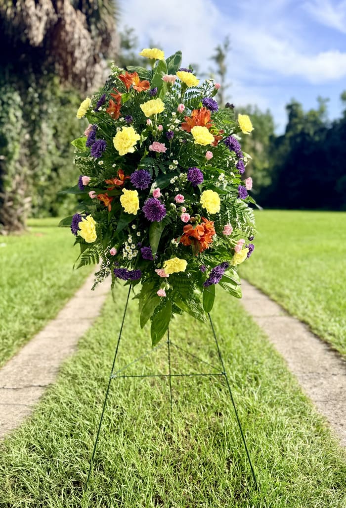 Celebration of Color