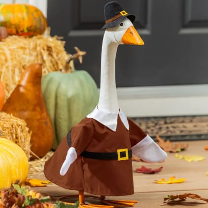 Harvest Pilgrim Boy Outfit