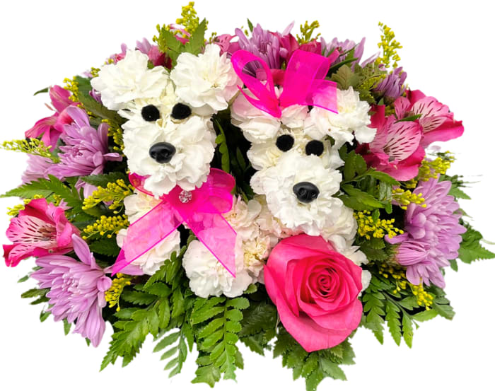 Mini Lover Pooches P-9046